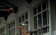 20120303_mtk-torokbalint_bajai-bacska_22.jpg